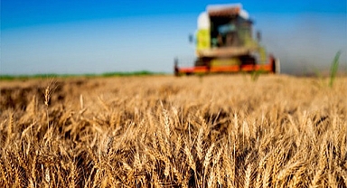 TÜİK, tarımsal girdi fiyat endeksini açıkladı