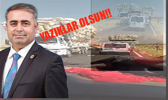 Tüysüz yetkililere isyan etti! Yazıklar olsun