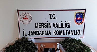 Uyuşturucu operasyonu: 2 gözaltı