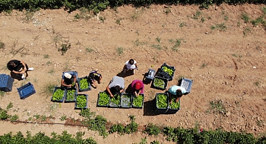 Uzmanından sıcak havada çalışan tarım işçilerine uyarı