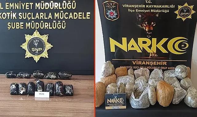 Viranşehir'de 2 araçta 26.600 gram skunk ele geçirildi
