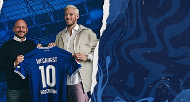 Wout Weghorst, Hoffenheim’da