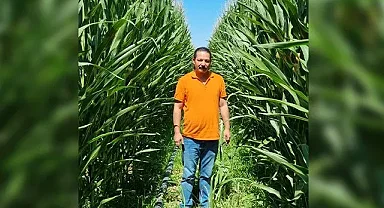 Yazar'dan TMO'ya 'mısır fiyatlarını' açıklayın!