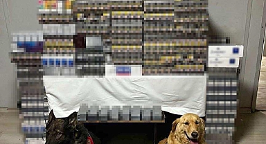 Yolcu otobüsünde 8 bin 549 paket kaçak sigara ele geçirildi