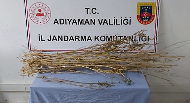 Adıyaman’da kubar esrar maddesi ele geçirildi