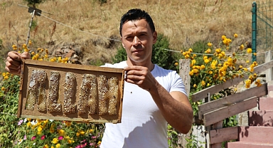 Arılara yazmayı öğreten adam!