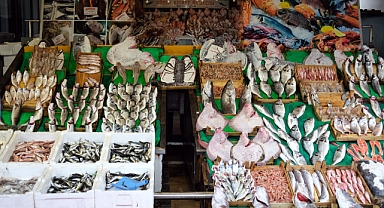 Balık sezonu hamsiyle başladı