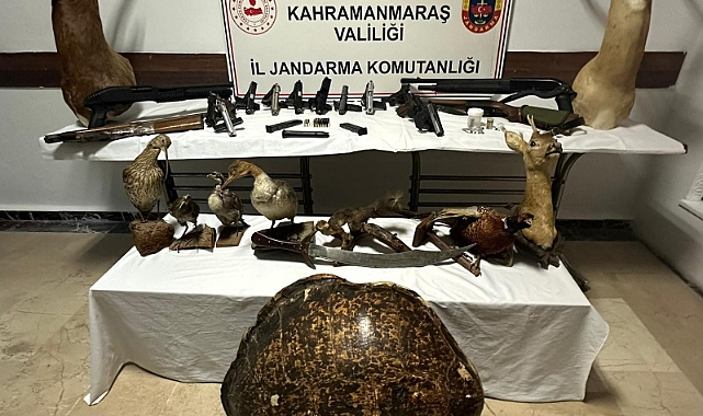 Baskın yapılan evden cephanelik çıktı