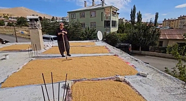Buğdayın, bulgur olma yolculuğu başladı