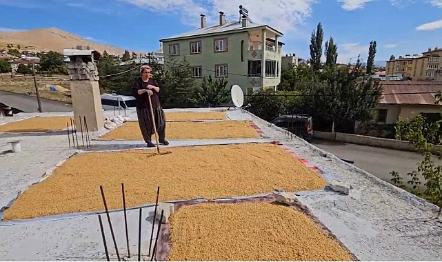 Buğdayın, bulgur olma yolculuğu başladı