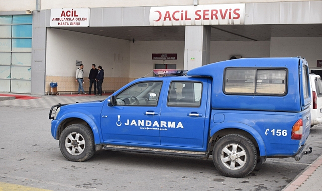 Hazine arazisi kavgası: Yaralılar var