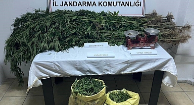 Jandarma ekiplerinden uyuşturucu operasyonu