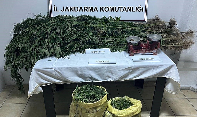 Jandarma ekiplerinden uyuşturucu operasyonu
