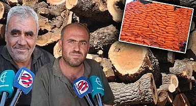 Kış geliyor! Odun fiyatları cep yakıyor