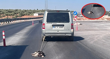 Köpeği aracına bağlayıp sürükledi