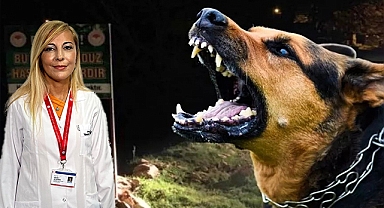 Kuduz hastalığında ilk yapılması gerekenler