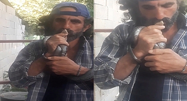 Kurtardığı yılanı öperek doğaya saldı