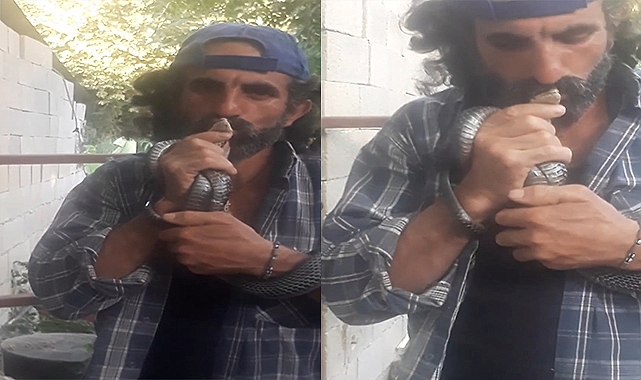 Kurtardığı yılanı öperek doğaya saldı