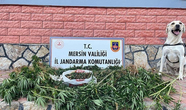 Mersin'de uyuşturucu operasyonu: 2 gözaltı