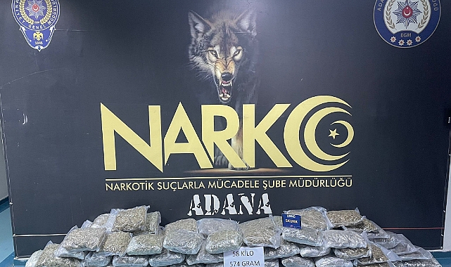 Narkotik köpeği Tinga 58 kilo esrar buldu
