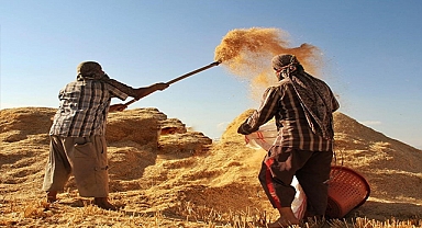 TÜİK, tarımsal girdi fiyat endeksini açıkladı