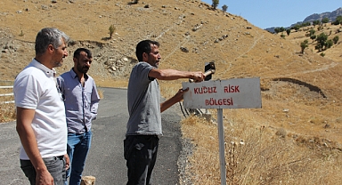 Sahibini ısıran at kuduz çıktı, köy karantinaya alındı