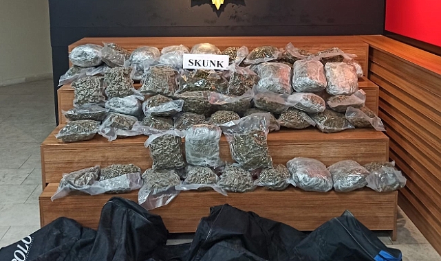 Şanlıurfa'da 34 kilo skunk maddesi ele geçirildi