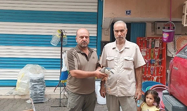 Şanlıurfa'da Balıkçıl kuşu tedavi edildi