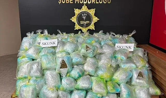 Şanlıurfa'da farklı noktalara operasyon!