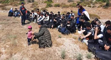 Şanlıurfa'da göçmen kaçakçılarına göz açtırılmıyor