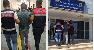Şanlıurfa'da hapis cezası bulunan şahıs yakalandı