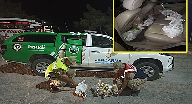 Şanlıurfa'da “Kaçak Ceylan Avcılığını Önleme” operasyonu