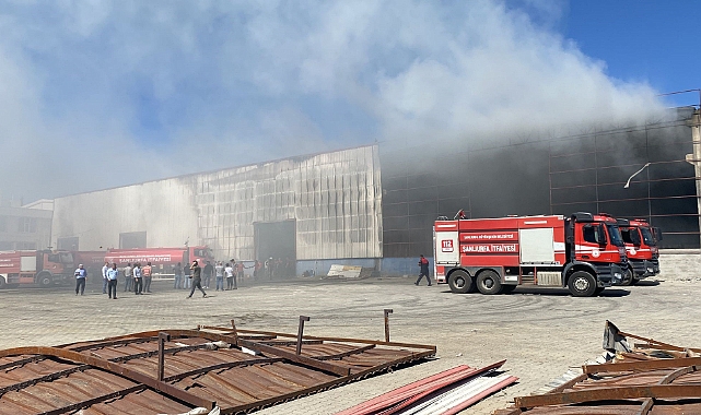 Şanlıurfa'da korkutan yangın
