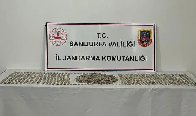 Şanlıurfa'da "tarihi eser kaçakçılığı" operasyonu