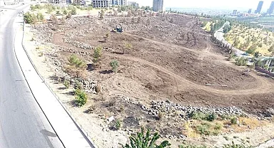 Şanlıurfa'da yanan alanlarda ağaçlandırma çalışması başladı