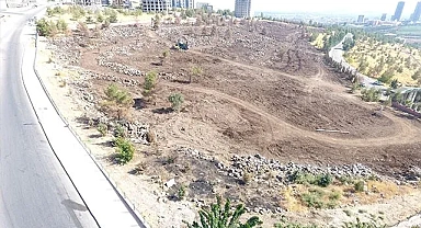 Şanlıurfa'da yanan alanlarda ağaçlandırma çalışması başladı