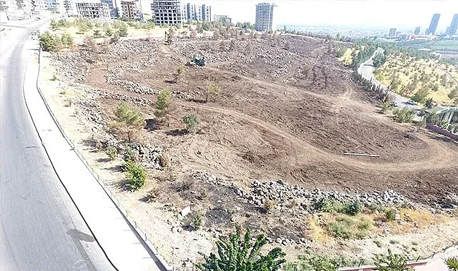 Şanlıurfa'da yanan alanlarda ağaçlandırma çalışması başladı
