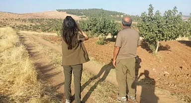 Şanlıurfa'da yasa dışı avlanma!