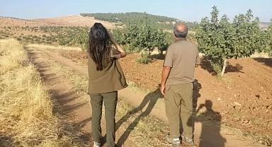 Şanlıurfa'da yasa dışı avlanma!