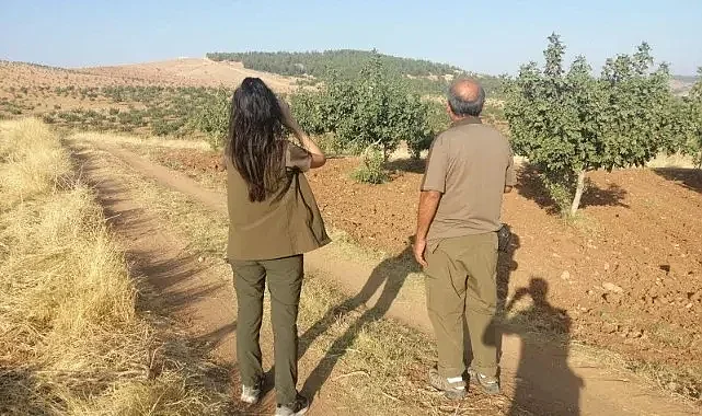 Şanlıurfa'da yasa dışı avlanma!