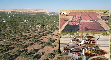 Şanlıurfa’da yemeklerde fıstık ile isot şöleni