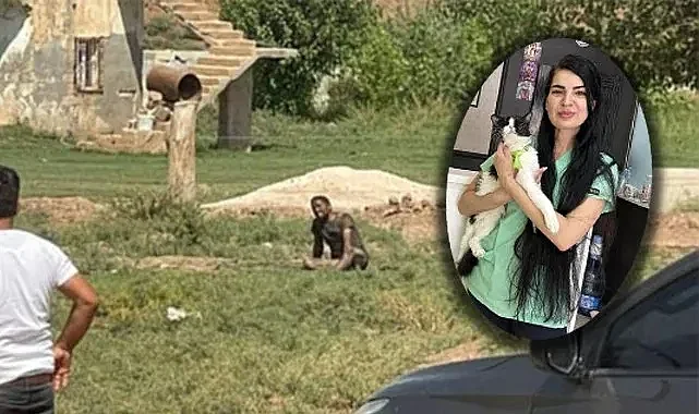Şanlıurfa'nın etkisiyle "Türkiye kuduz vakalarında" en riskli ülkeler arasına girdi