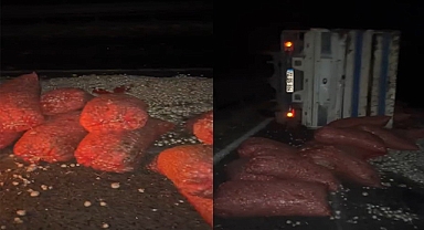 Soğan yüklü tır devrildi: 1 yaralı