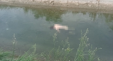 Sulama kanalında ceset bulundu