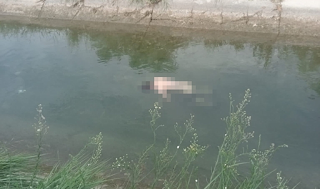 Sulama kanalında ceset bulundu