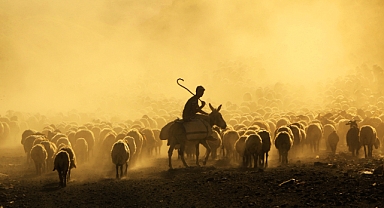 Sürülerin tozlu yolculuğu görsel şölen sunuyor