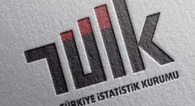 TÜİK, Uluslararası Hizmet Ticareti İstatistiklerini açıkladı