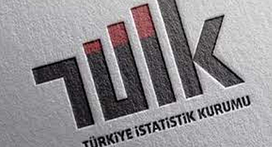 TÜİK, Üretici Fiyat Endeksini açıkladı