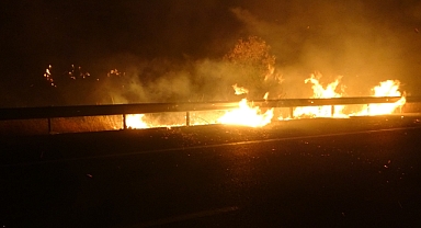 Yangın paniği: Alevler yerleşim yerlerine ulaştı