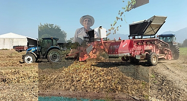 Yer fıstığı hasadı başladı